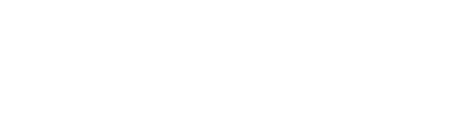 Artemis Ortho App